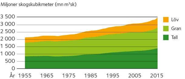 AVT-fig03-SE.jpg