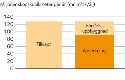 AVT-fig04-SE.jpg