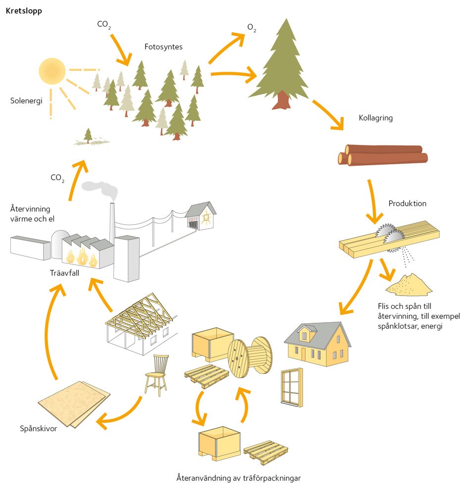 AVT-fig12-SE.jpg