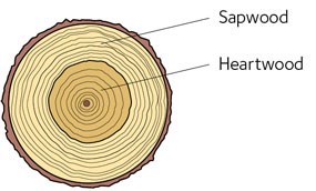 avt-fig60-en.jpg